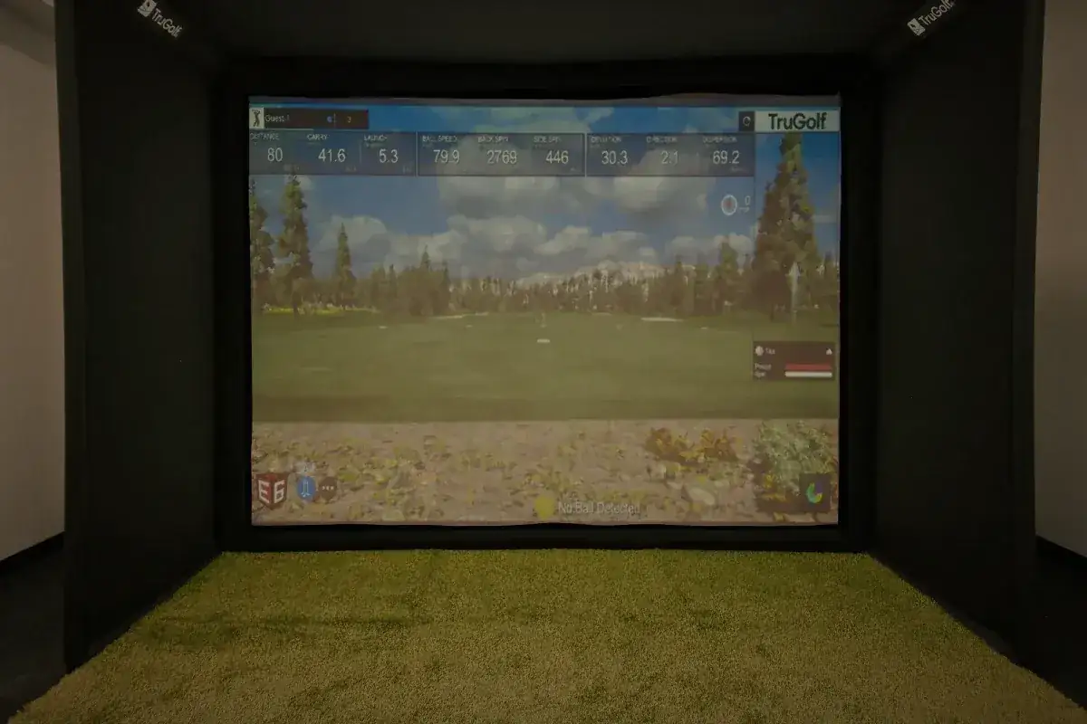 The golf simulator screen and hitting mat, straight on.