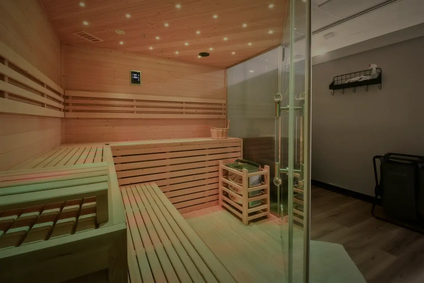The cedar sauna, benches on two levels, lit from the ceiling.